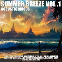 Acoustic Moods Ensemble - Summer Breeze Vol .1