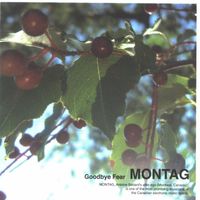 Montag - Goodbye Fear