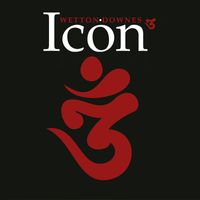 Icon - 3