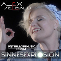 Alex Seebald - Sinnesexplosion (Pottblagen.Music Remix)