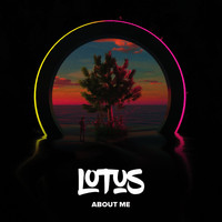 Lotus - About Me