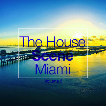 Various Artists - The House Scene: Miami, Vol. 3 (A DJ House Selection)