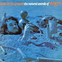 Airto - Seeds On the Ground - The Natural Sounds of Airto
