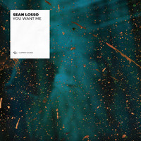Sean Losso - You Want Me