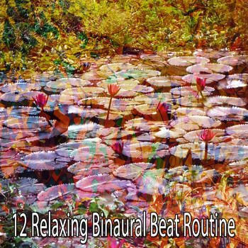 Binaural Beats Sleep - 12 Relaxing Binaural Beat Routine