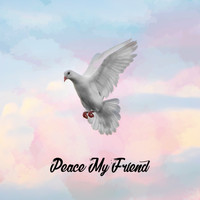 Djamil and Tamer Nafar - Peace My Friend