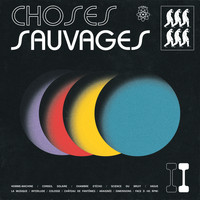 Choses Sauvages - La musique