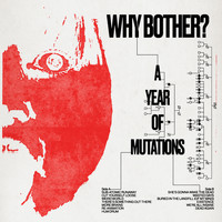 Why Bother? - More Brains