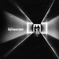Synapscape - Immaculate