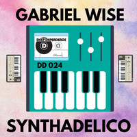 Gabriel Wise - Synthadelico