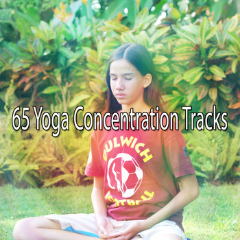 Massage Tribe - 65 Yoga Concentration Tracks