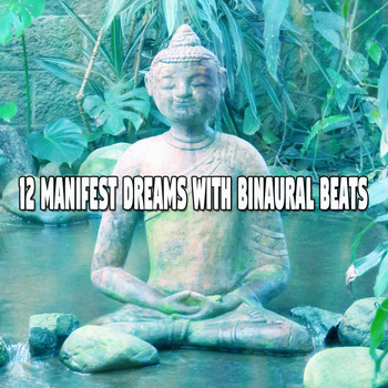Binaural Beats Sleep - 12 Manifest Dreams with Binaural Beats