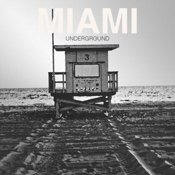Various Artists - Miami Underground 03
