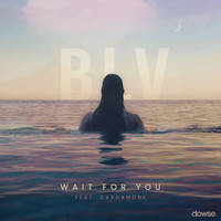 BLV - Wait For You