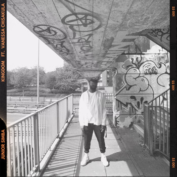 Junior Simba - Kingdom