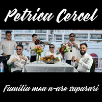 Petrica Cercel - Familiea Mea N-Are Suparari