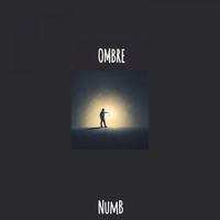 Numb - Ombre