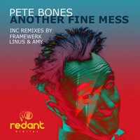 Pete Bones - Another Fine Mess