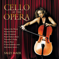 Sally Maer, Andrew Greene & Tasmanian Symphony Orchestra - Cello at the Opera