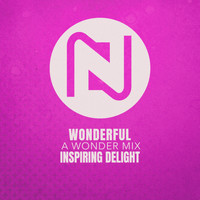 Inspiring Delight - Wonderful (A Wonder Mix)