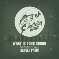 Sander Parin - What Is Your Sound (Sander's Mix)