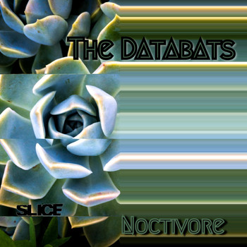 The Databats - Noctivore