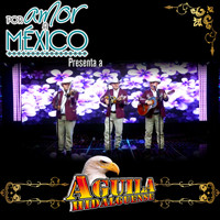 Aguila Hidalguense - Por Amor a México Presenta a Aguila Hidalguense (En Vivo)