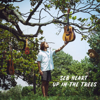 Seb Heart - Up in the Trees