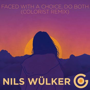 Nils Wülker - Faced with a Choice, Do Both (Colorist Remix)