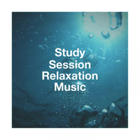 Chinese Relaxation and Meditation, Sounds of Nature Relaxation, Piano: Classical Relaxation - Study Session Relaxation Music