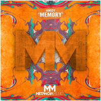 AMIDY - Memory