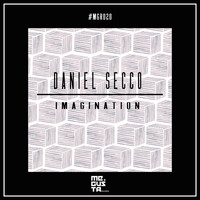 Daniel Secco - Imagination