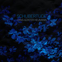 Hans-Günter Heumann - Schubertüde (nach einem Thema von Franz Schubert)