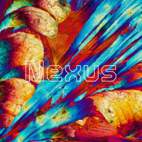 Komorebi - Nexus