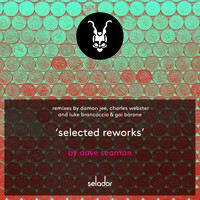 Dave Seaman - Selected Reworks
