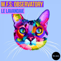 M.F.S: Observatory - Le Lavandaie