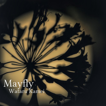 Wataru Kamei - Mayfly