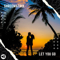 Shreematrix - Let You Go