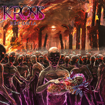 Krosis - Begonia