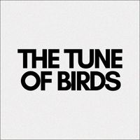 Staniz - The Tune of Birds