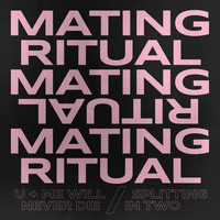 Mating Ritual - U + Me Will Never Die