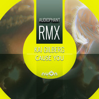 Kai Gilberg - Cause You (AudioPHANT RMX)