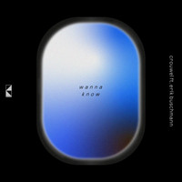 Crouwel featuring Erik Buschmann - Wanna Know