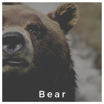 Various Artists - Bear