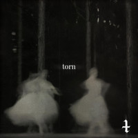 Kyroshie - torn