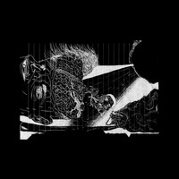 Moglee - Albtraum