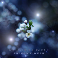 Sherry Finzer - Resilience