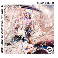 Sonia Calico - Simulation of an Overloaded World