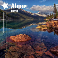 David - Alone