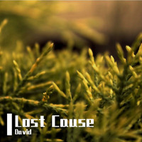 David - Lost Cause